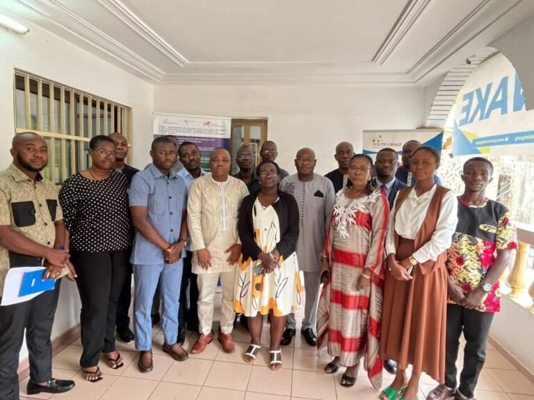 Validation workshop for the manual on non-violent change strategies: the NGO YOUTH AWAKE is driving new momentum for peace in Togo